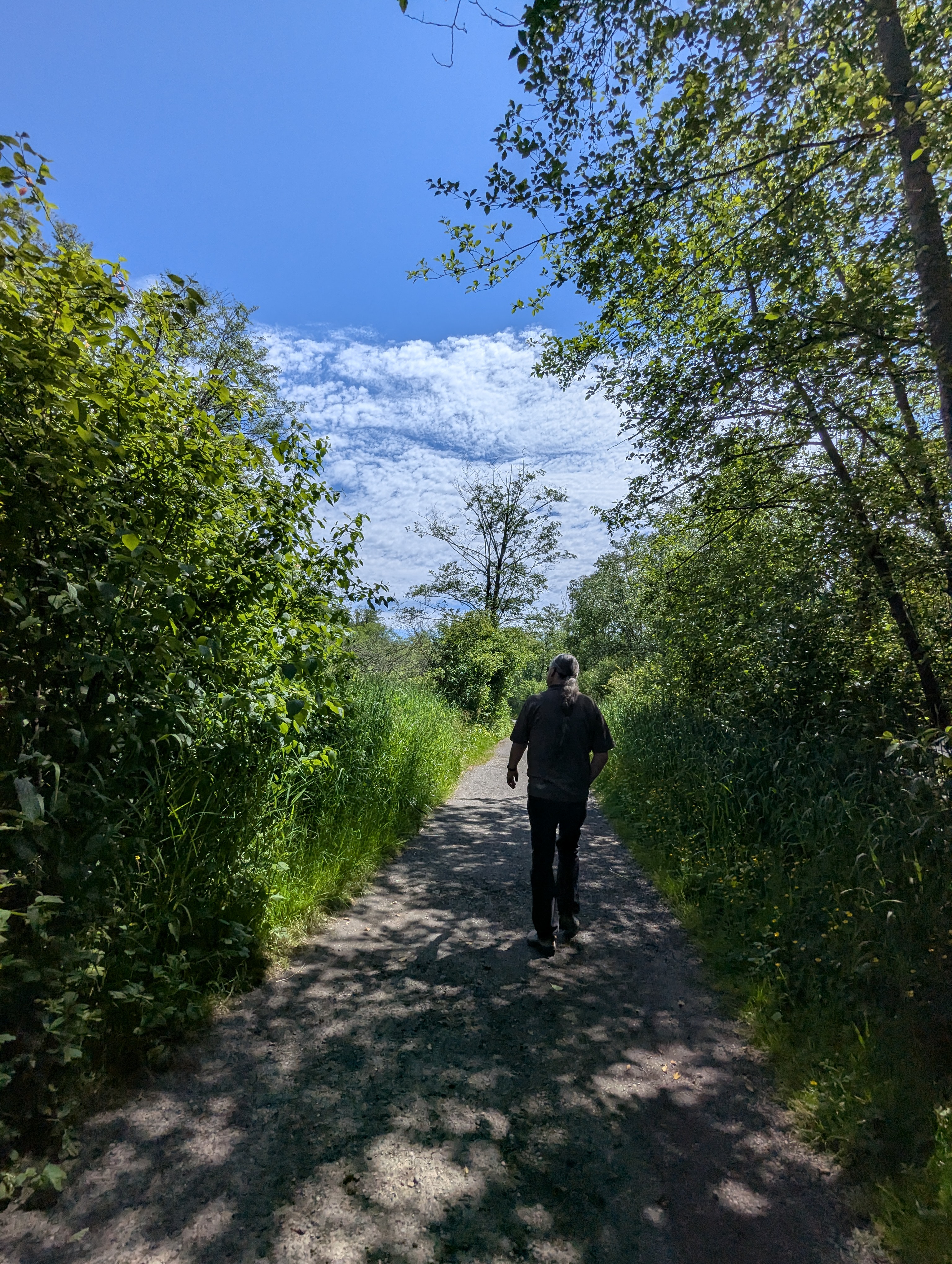 Birthday Trip to Canada, Delta, Burns Bog, Vancouver, British Columbia